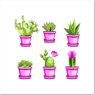 Cactuses and succulents Posters and Art